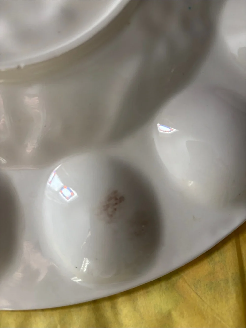 Hand-Painted Fruit & Floral Deviled Egg Platter - White